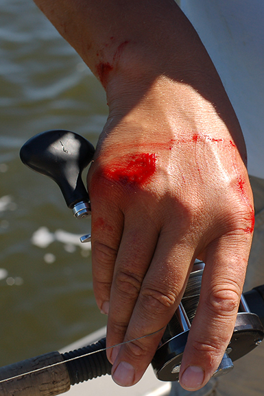 Click to expand / contract the width of this image