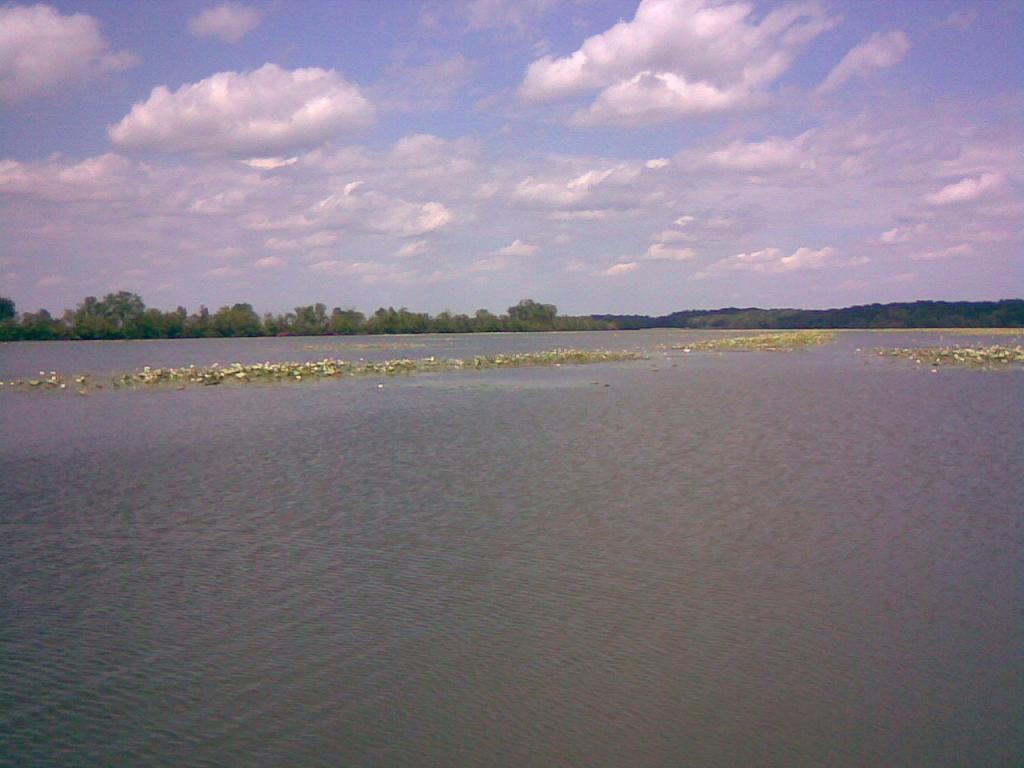 Click to expand / contract the width of this image