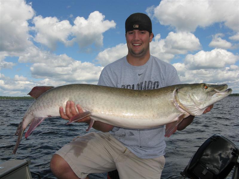 Click to expand / contract the width of this image