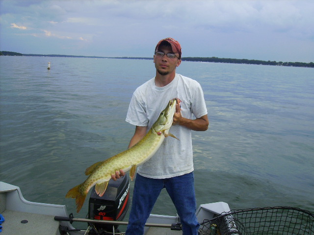 Click to expand / contract the width of this image