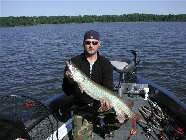 Click to expand / contract the width of this image