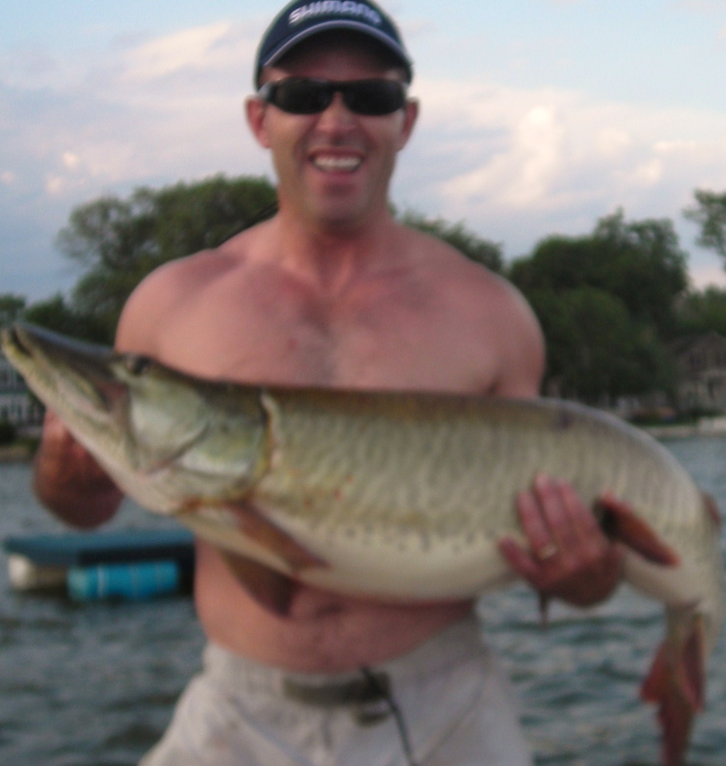 Click to expand / contract the width of this image