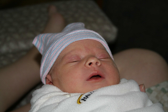 Click to expand / contract the width of this image