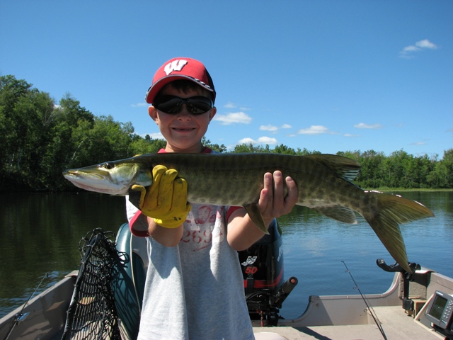 Click to expand / contract the width of this image