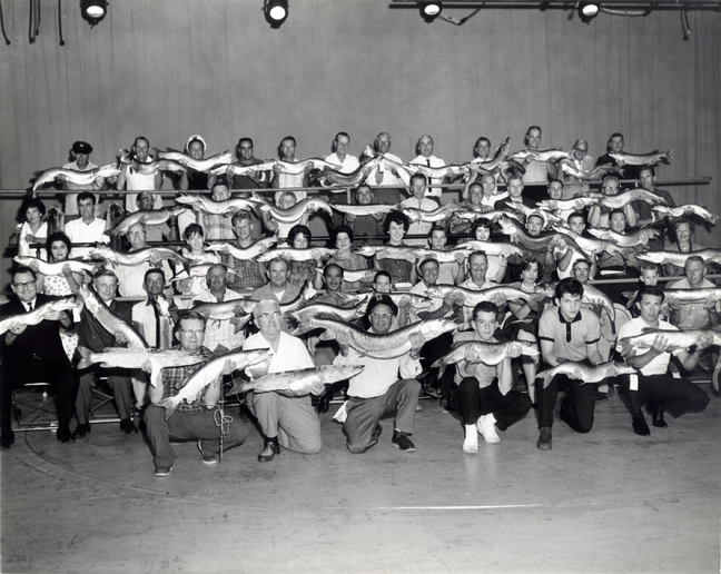 Click to expand / contract the width of this image