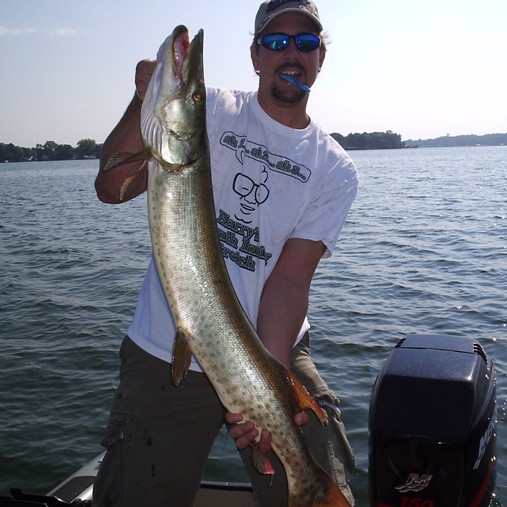 Click to expand / contract the width of this image