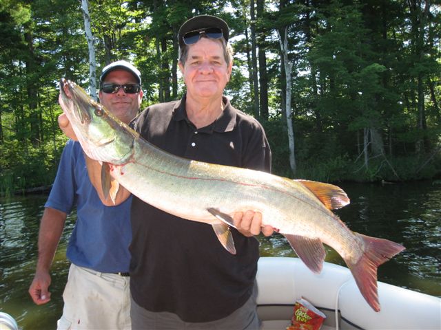 Click to expand / contract the width of this image