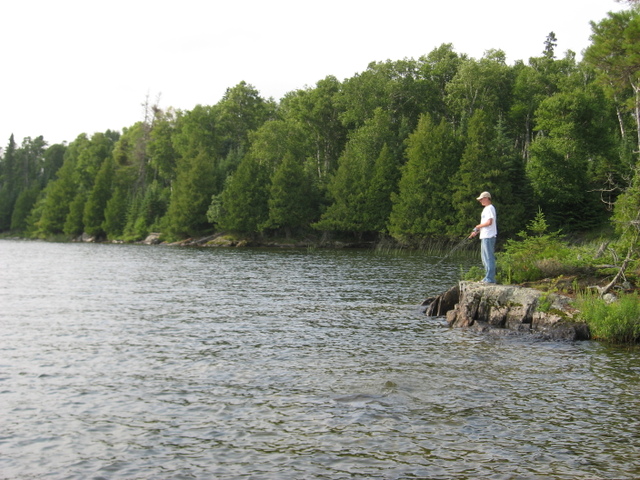 Click to expand / contract the width of this image