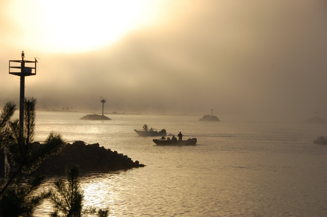 Click to expand / contract the width of this image