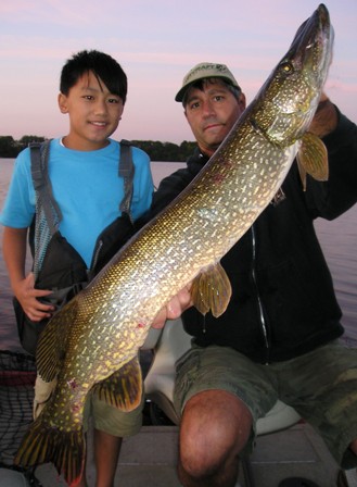 Click to expand / contract the width of this image