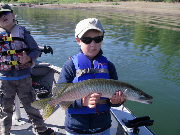 Click to expand / contract the width of this image