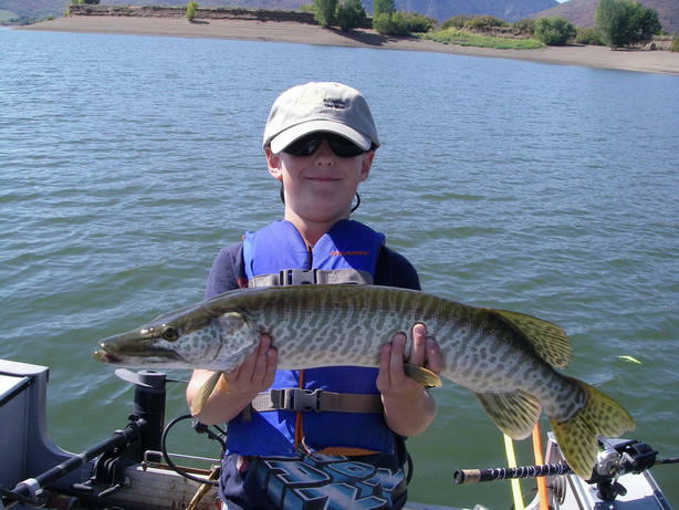 Click to expand / contract the width of this image