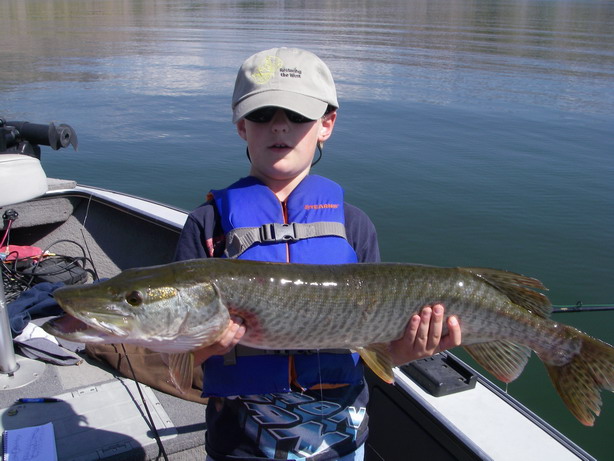 Click to expand / contract the width of this image