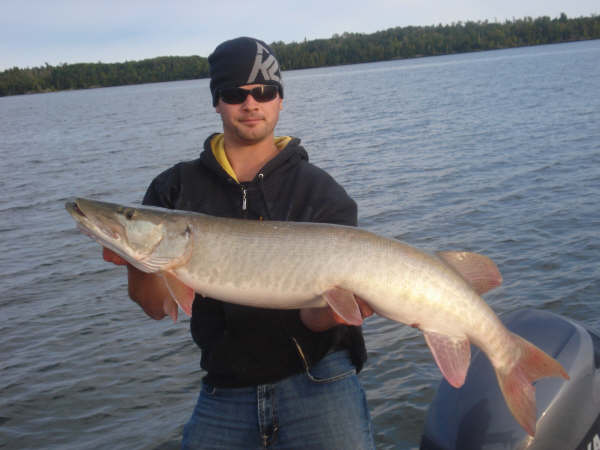 Click to expand / contract the width of this image