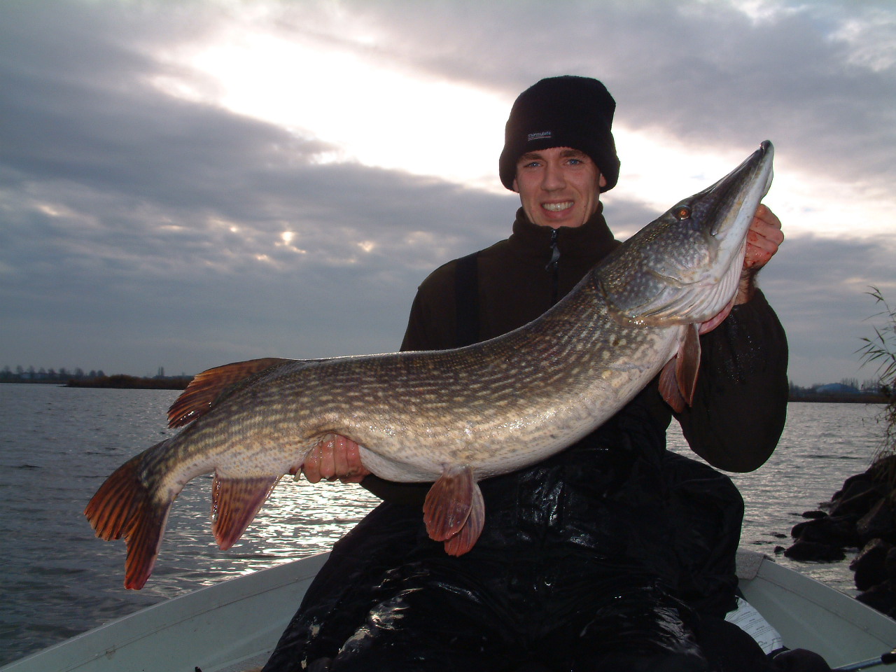 Click to expand / contract the width of this image