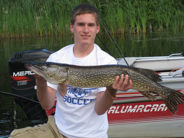 Click to expand / contract the width of this image