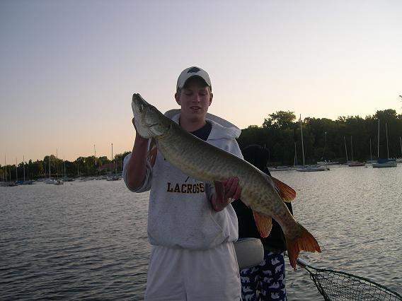 Click to expand / contract the width of this image