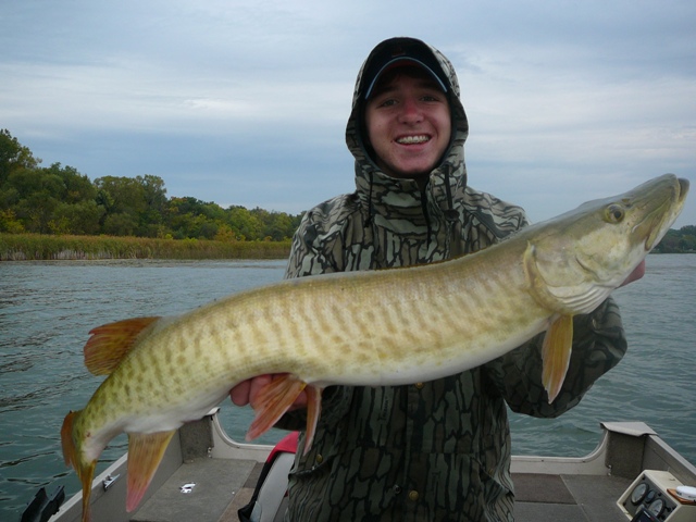 Click to expand / contract the width of this image