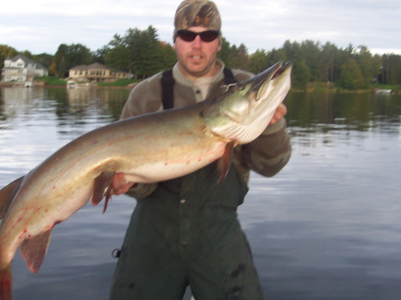 Click to expand / contract the width of this image