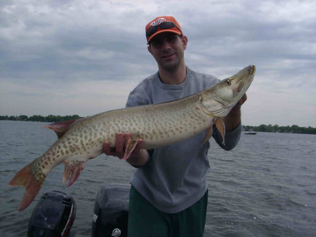 Click to expand / contract the width of this image