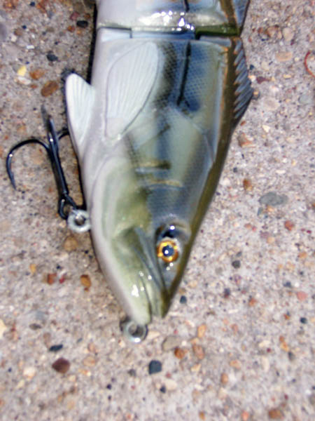 Click to expand / contract the width of this image