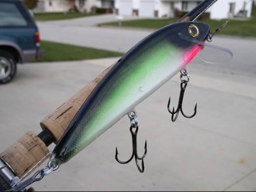 Click to expand / contract the width of this image