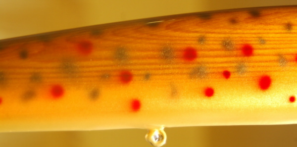 Click to expand / contract the width of this image