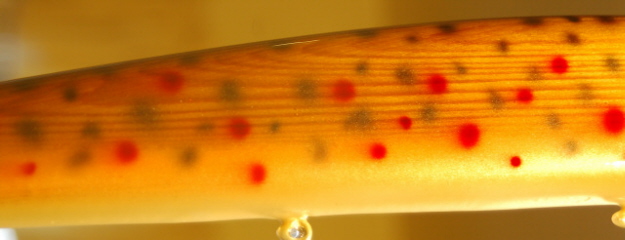 Click to expand / contract the width of this image