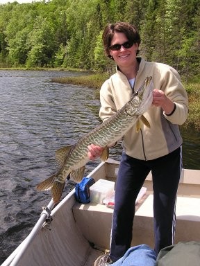 Click to expand / contract the width of this image