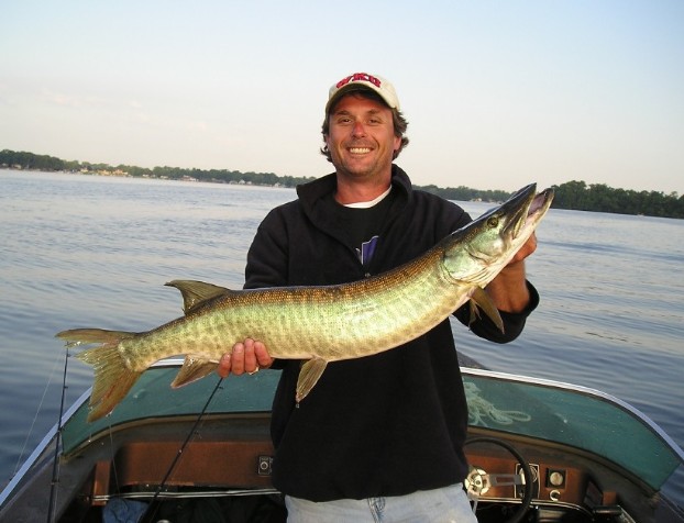 Click to expand / contract the width of this image