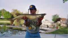 Click to expand / contract the width of this image