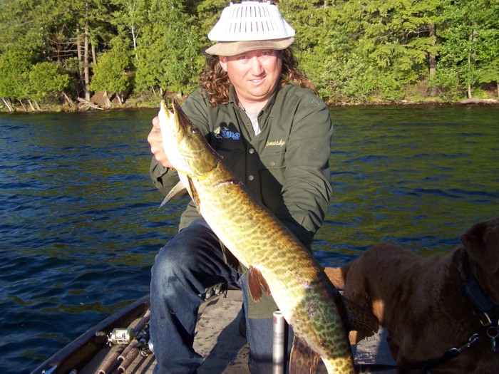 Click to expand / contract the width of this image