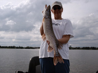 Click to expand / contract the width of this image