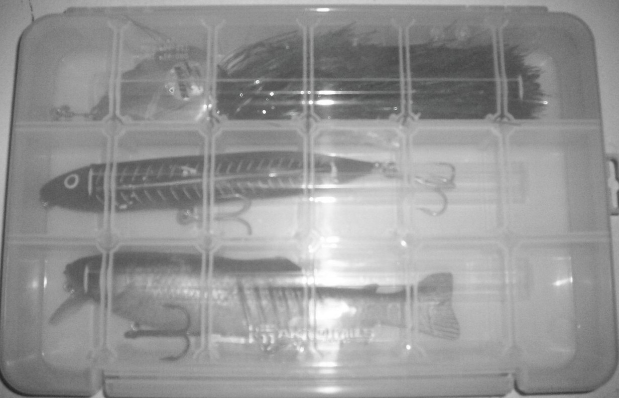 Click to expand / contract the width of this image