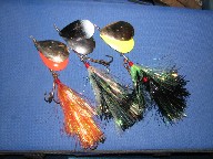 Click to expand / contract the width of this image