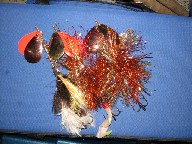 Click to expand / contract the width of this image