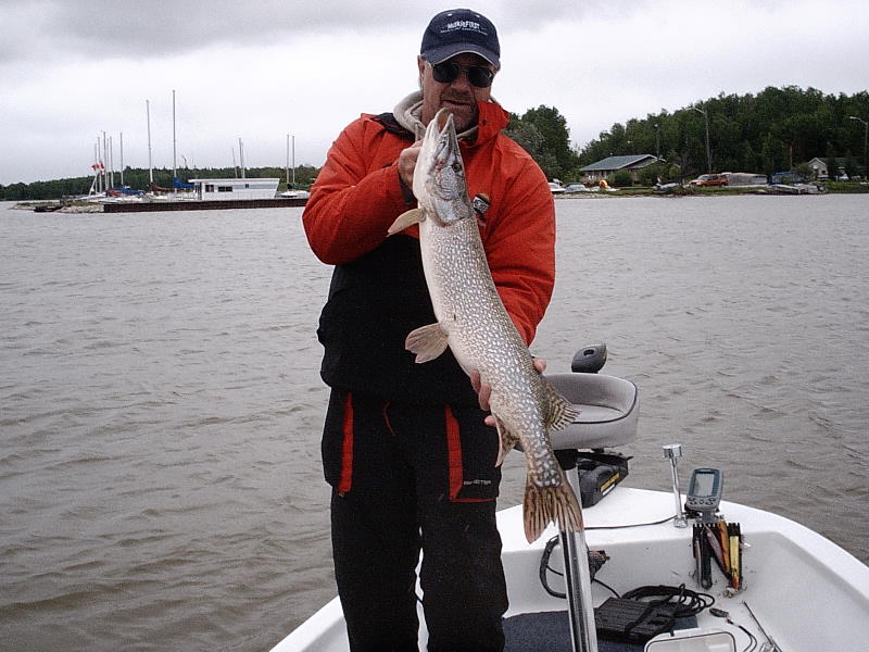 Click to expand / contract the width of this image