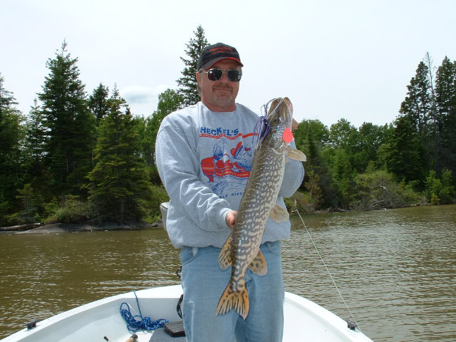 Click to expand / contract the width of this image