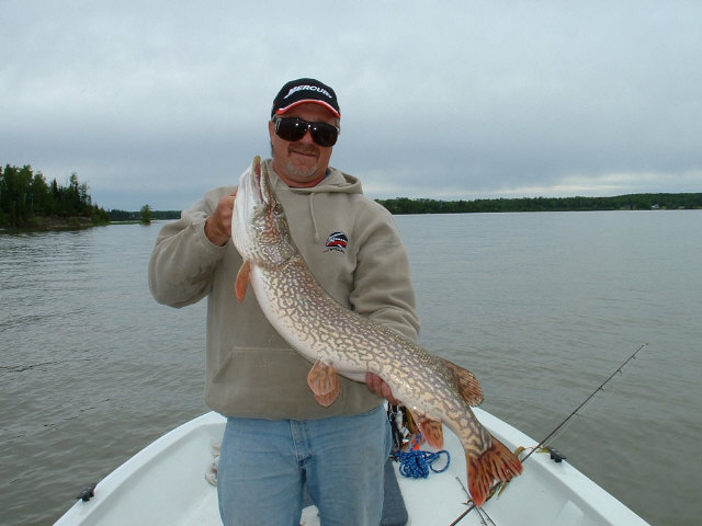 Click to expand / contract the width of this image