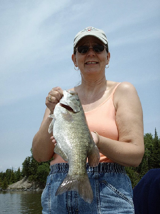 Click to expand / contract the width of this image