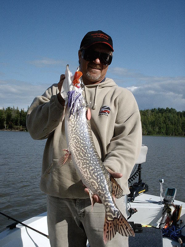 Click to expand / contract the width of this image