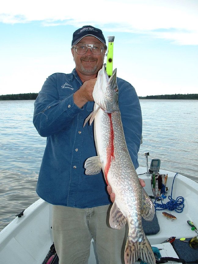 Click to expand / contract the width of this image