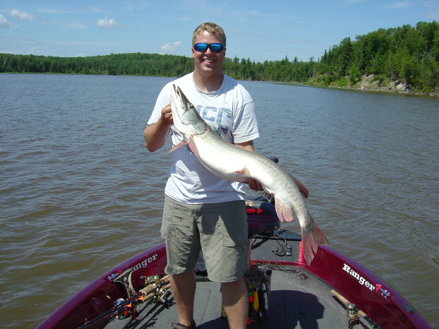 Click to expand / contract the width of this image