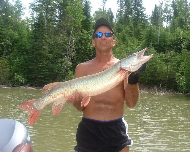 Click to expand / contract the width of this image