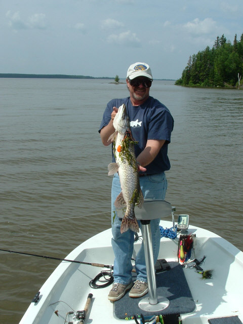 Click to expand / contract the width of this image