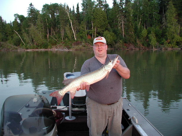 Click to expand / contract the width of this image