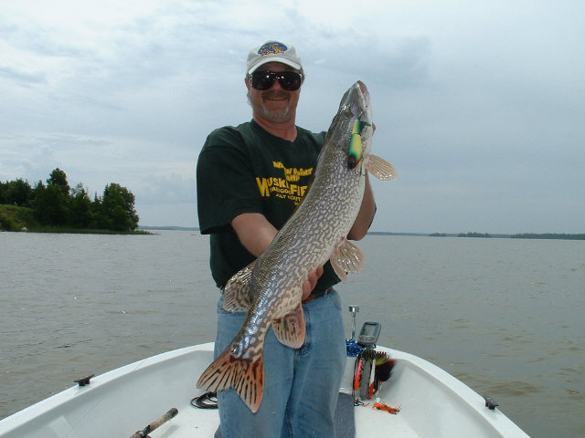 Click to expand / contract the width of this image