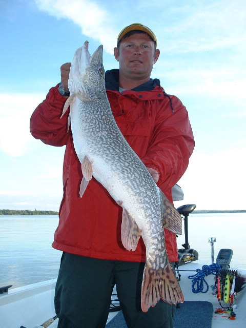 Click to expand / contract the width of this image