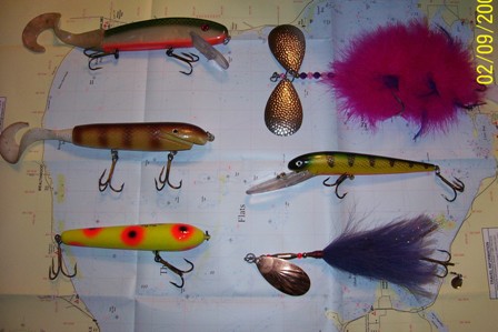 Click to expand / contract the width of this image