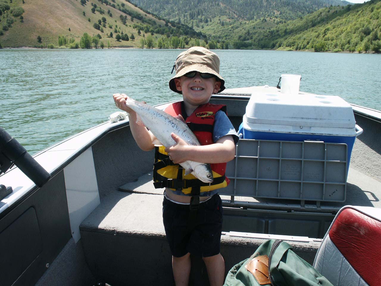 Click to expand / contract the width of this image